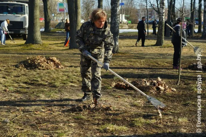 В Гомеле прошел городской субботник