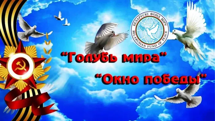 Голубь мира на окне: в Гомельской области подвели итоги региональной акции