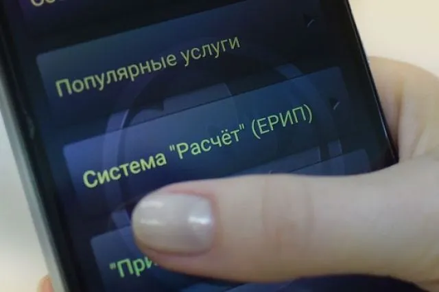 Оплатить продукцию и услуги лесхозов можно онлайн