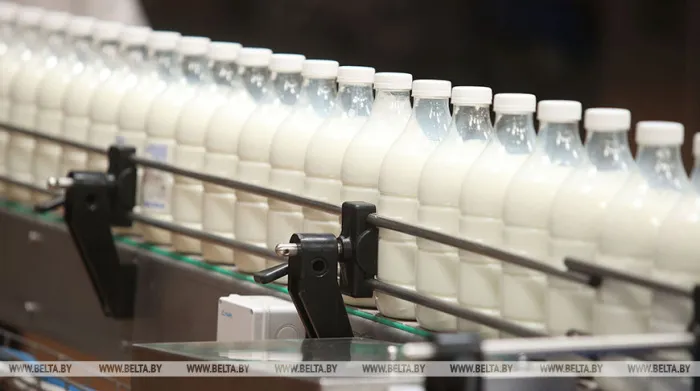 Беларусь лидирует в Европе по производству молока и молочных продуктов: 841 кг на человека в год