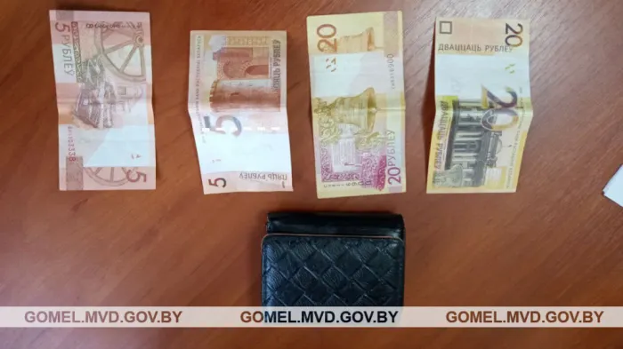 Вечер в компании для молодой девушки из Мозыря закончился кражей денег