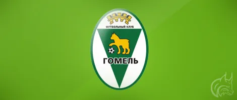 ФК «Гомель» проиграл в товарищеском матче могилевскому «Днепру» — 0:3