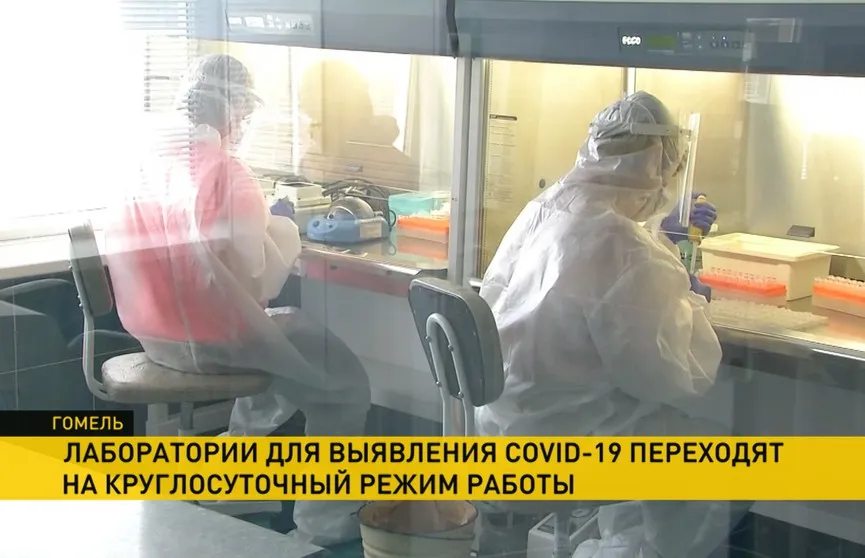 Тесты на COVID-19: лаборатории в Гомельской области переходят на круглосуточный режим работы