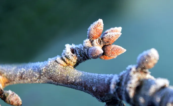 Облачно и до +5°C ожидается в Гомеле 30 марта