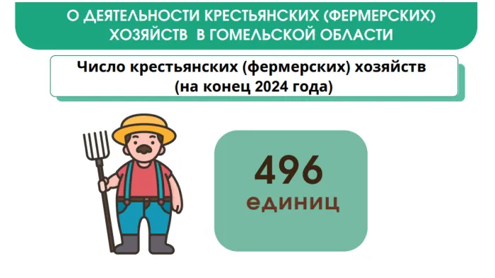 Упор на растениеводстве: за прошлый год фермеры Гомельщины собрали около 50 тысяч тонн картофеля и овощей