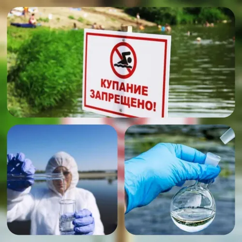 На одном из пляжей Гомеля выявили кишечную палочку и запретили купание