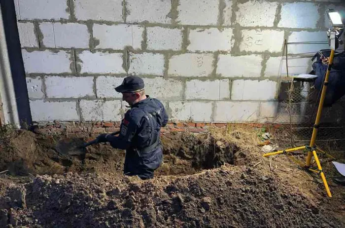 В Гомельском районе выпивка на даче закончилась убийством. Обвиняемый под стражей