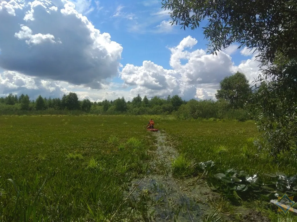 Двое жителей Петрикова погрязли в заливных лугах. Понадобилась помощь спасателей