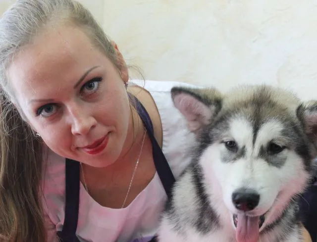 Привести лапы в порядок