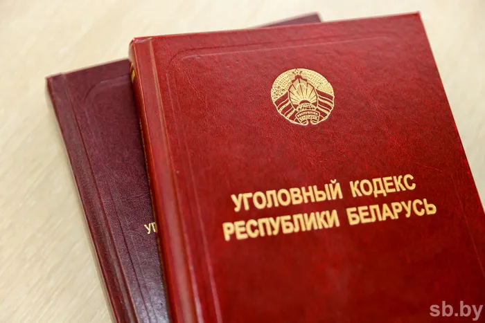 Гомельчанин уклонялся от уплаты алиментов и стал фигурантом уголовного дела