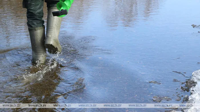 Талые воды подтопили дома в Гомеле и Наровлянском районе