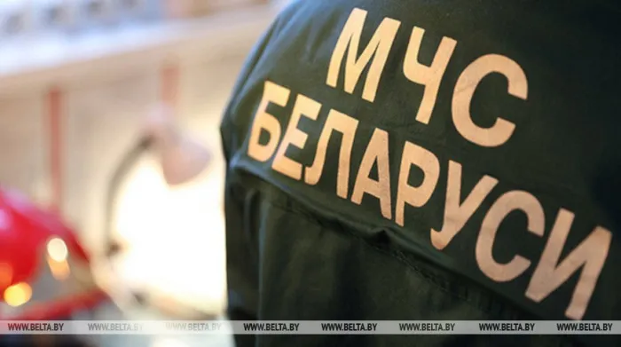 Пропавшего в лесу пенсионера ищут в Речицком районе