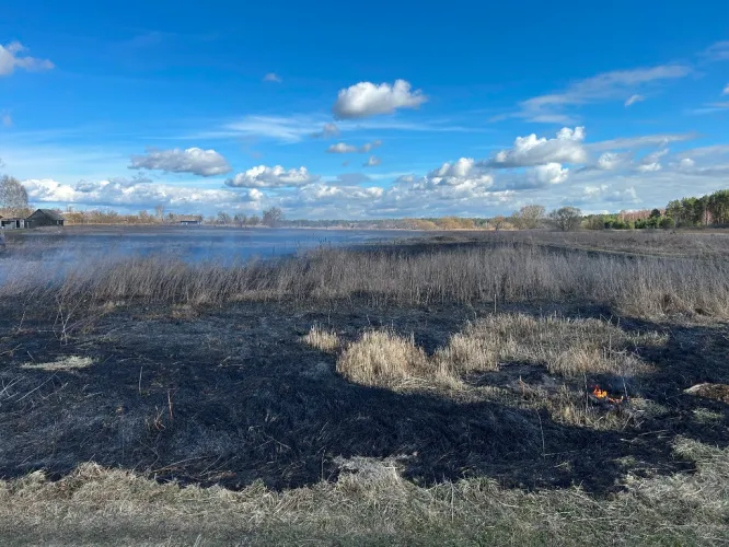 С начала года в области зафиксировано 1018 пожаров в природных экосистемах