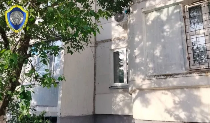 В Гомеле девятилетний мальчик выпал из окна третьего этажа