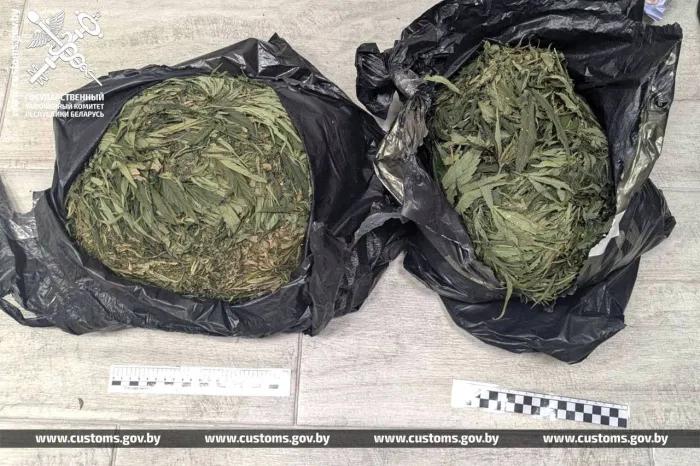 Гомельские таможенники изъяли крупную партию наркотиков