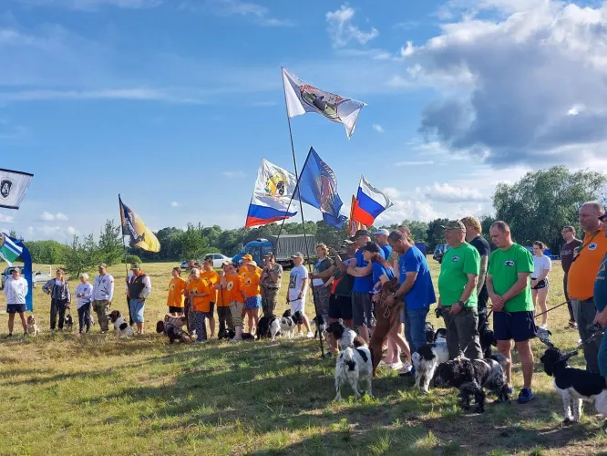 Чутье и скорость. В Чечерском районе проходит открытый чемпионат Беларуси среди спаниелей по болотной дичи «Бердыж-2025»