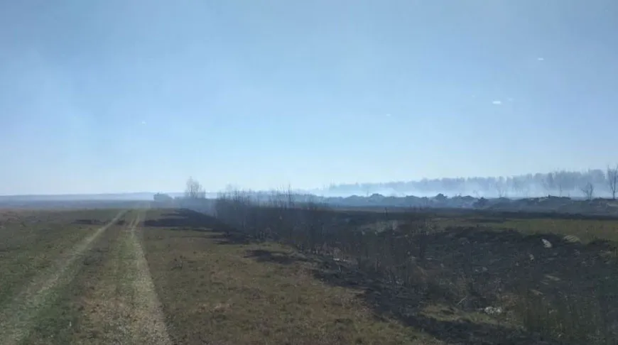 В Калинковичском районе третий день тушат торфяной пожар