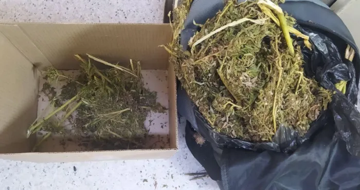 У жителя Речицы изъяли более килограмма заготовленной марихуаны