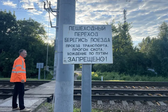 В Речицком районе на железной дороге травмирована 80-летняя бабушка