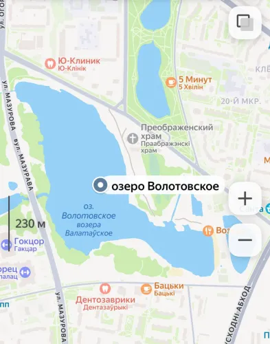 В Гомеле на Волотовском озере спасен нетрезвый мужчина