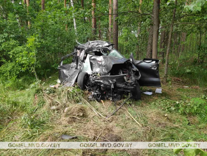 Смертельное ДТП с участием большегруза произошло в Житковичском районе