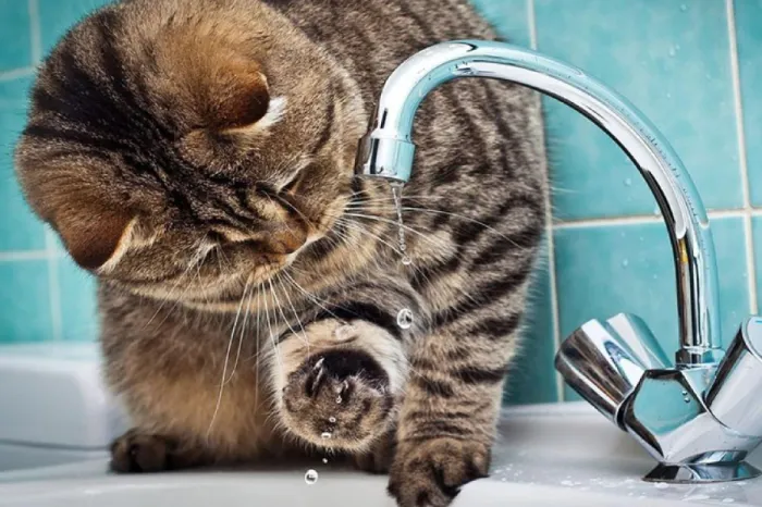 Стало известно, когда в микрорайоне «Сельмаш» отключат горячую воду