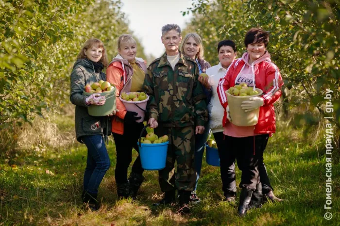 Профсоюзы и молодежь помогли комбинату "Восток" в сборе яблок
