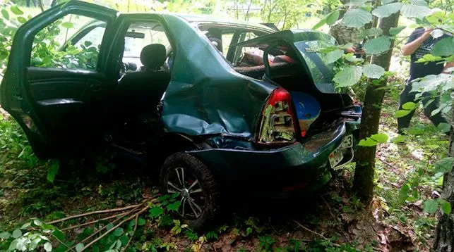 В Речицком районе на дорогу внезапно упало дерево: легковушка вылетела в кювет