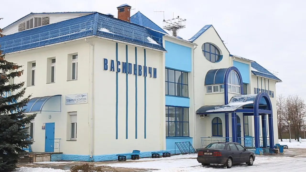 Один день в Василевичах 