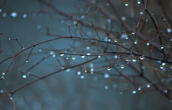 Дожди и до +9°С ожидается в Беларуси 1 февраля