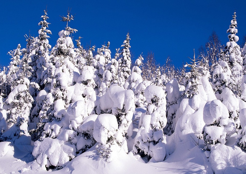 snow-1913597_960_720.jpg snow-1913597_960_720.jpg