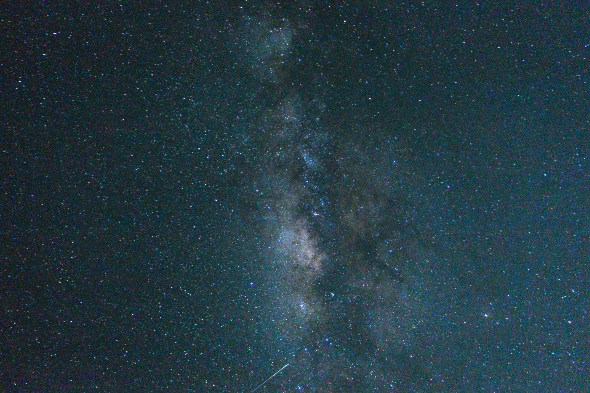 pexels-kássia-melo-9494010.jpg