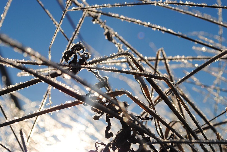 ice-3847428_960_720.jpg