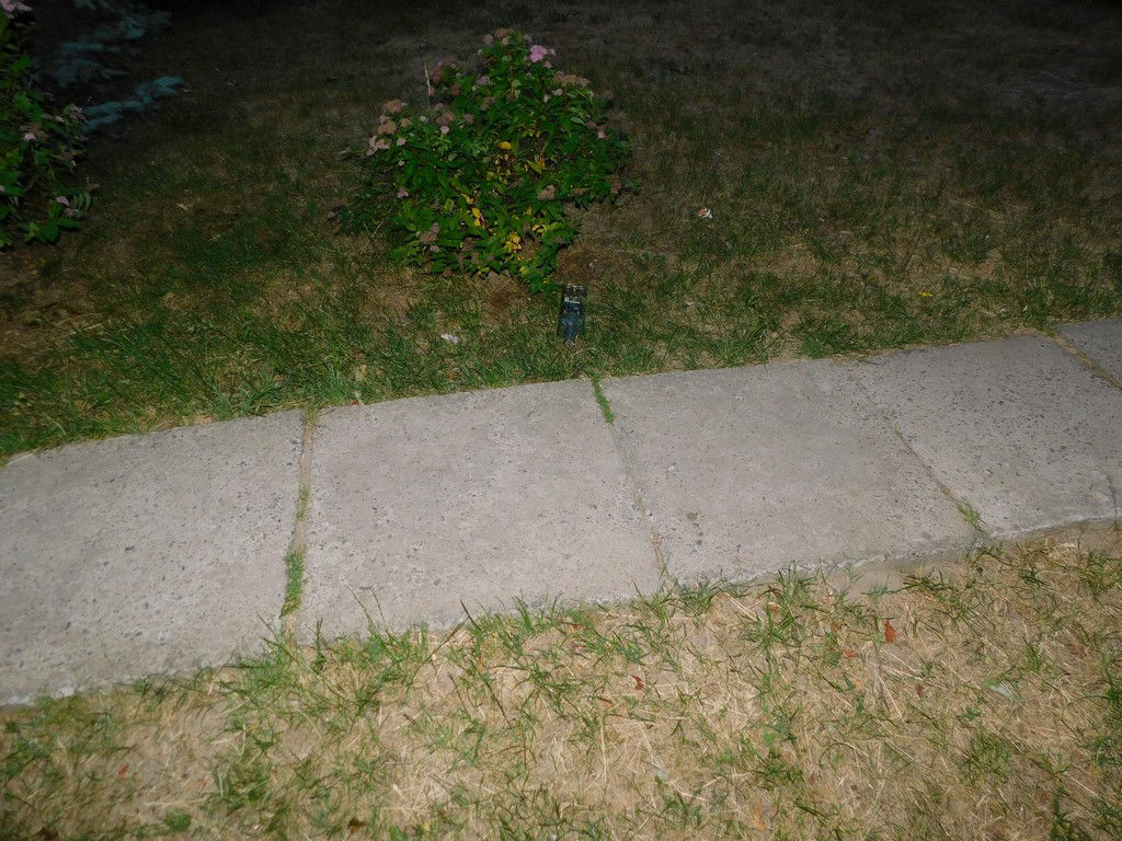 DSCN0357.jpg