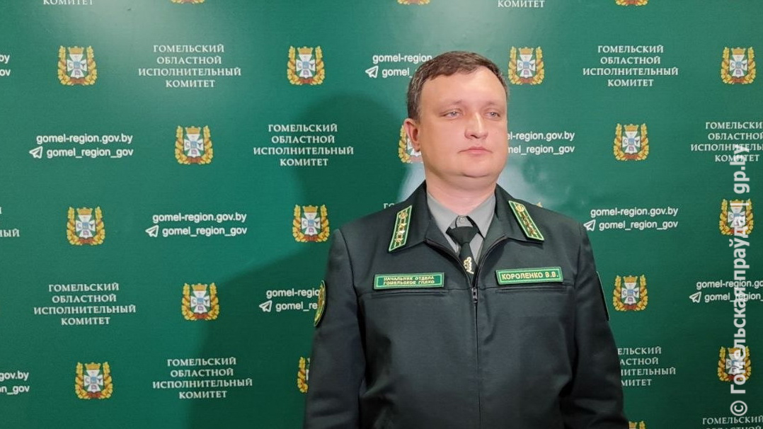 Как в Гомельской области контролируют соблюдение правил пожарной безопасности в лесах