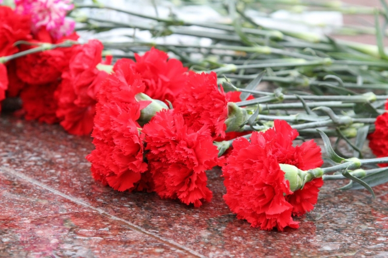 67594_tsvety-skorb-vozlozhenie.jpg 67594_tsvety-skorb-vozlozhenie.jpg