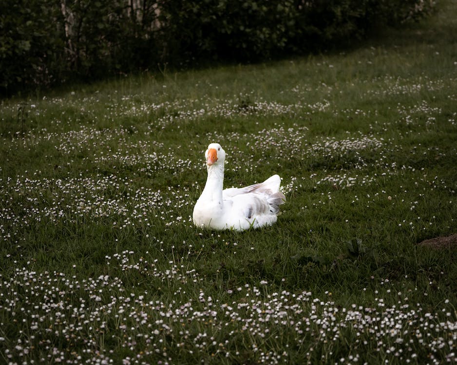 pexels-photo-13856768.jpeg pexels-photo-13856768.jpeg