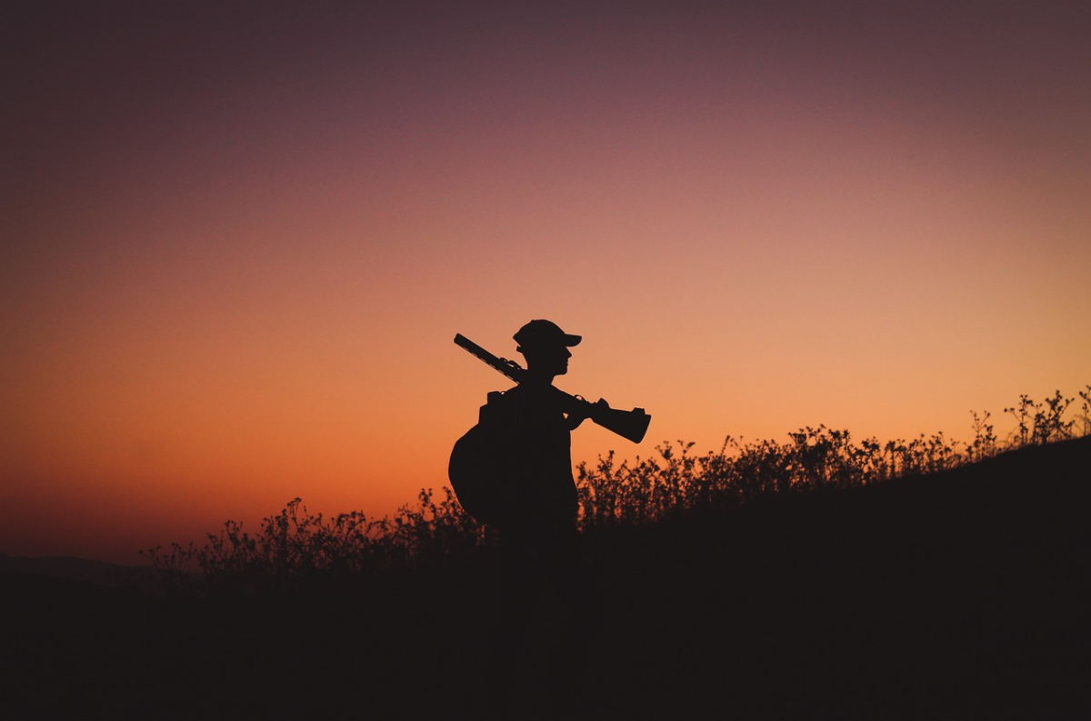 sunset-3824075_1280.jpg
