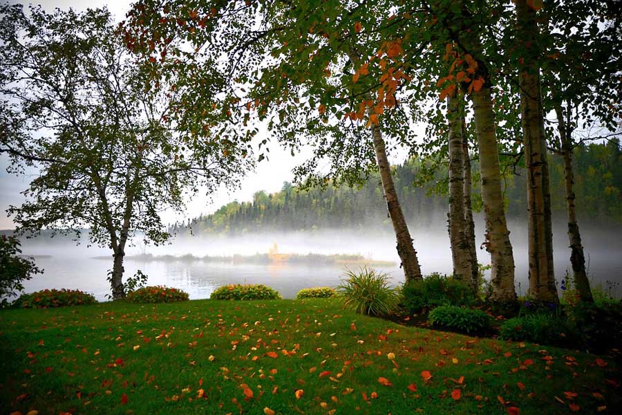 landscape-4497191_960_720.jpg