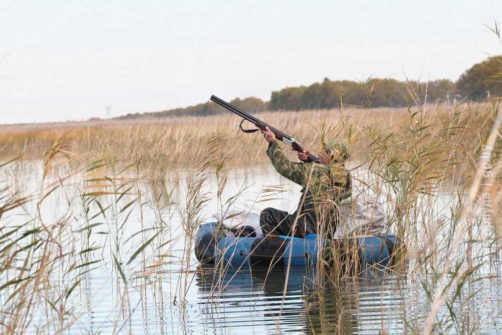 утоньки.jpg