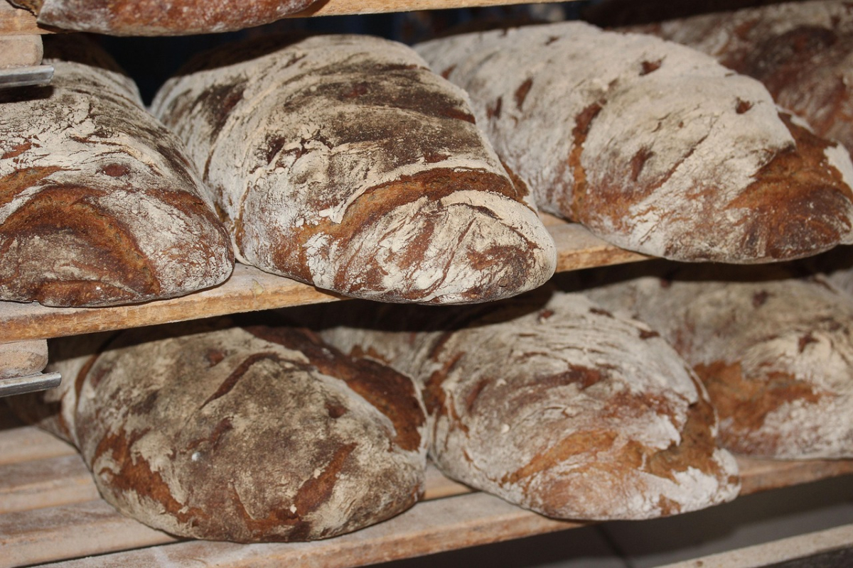bread-388647_1280.jpg