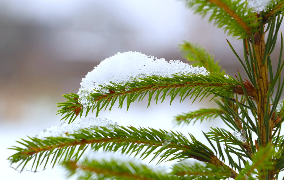 snow-6862449_960_720.jpg snow-6862449_960_720.jpg