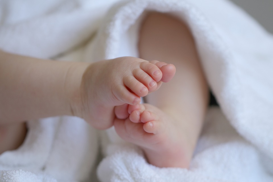 baby-6823431_960_720.jpg baby-6823431_960_720.jpg