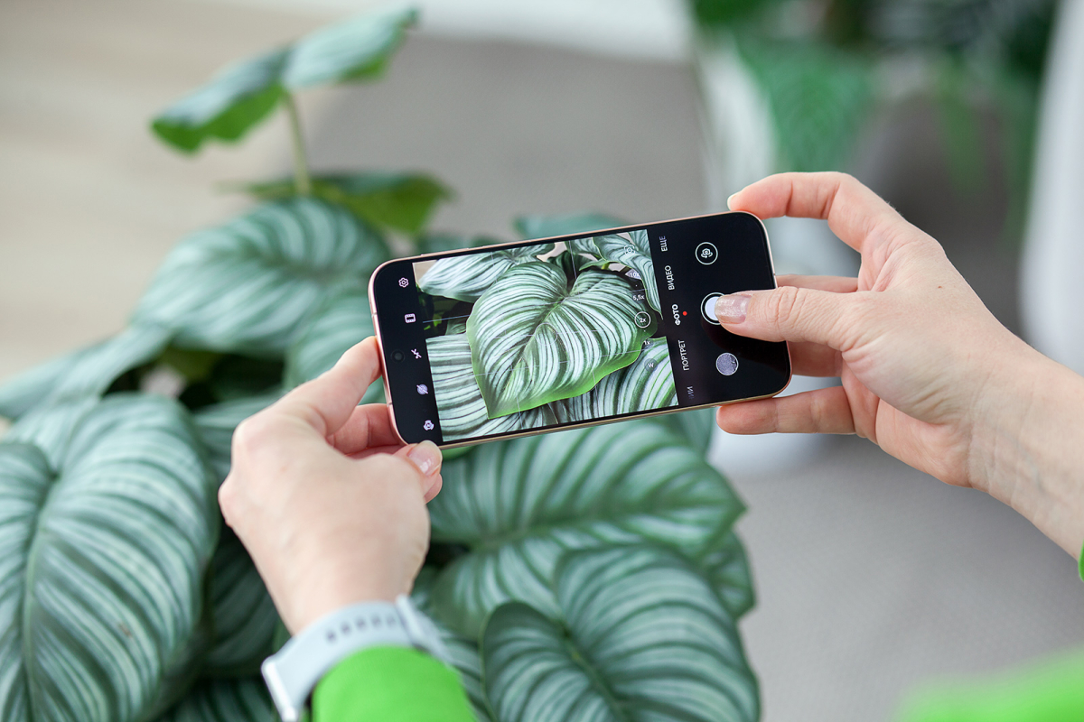 2 Huawei Pura 80.JPG