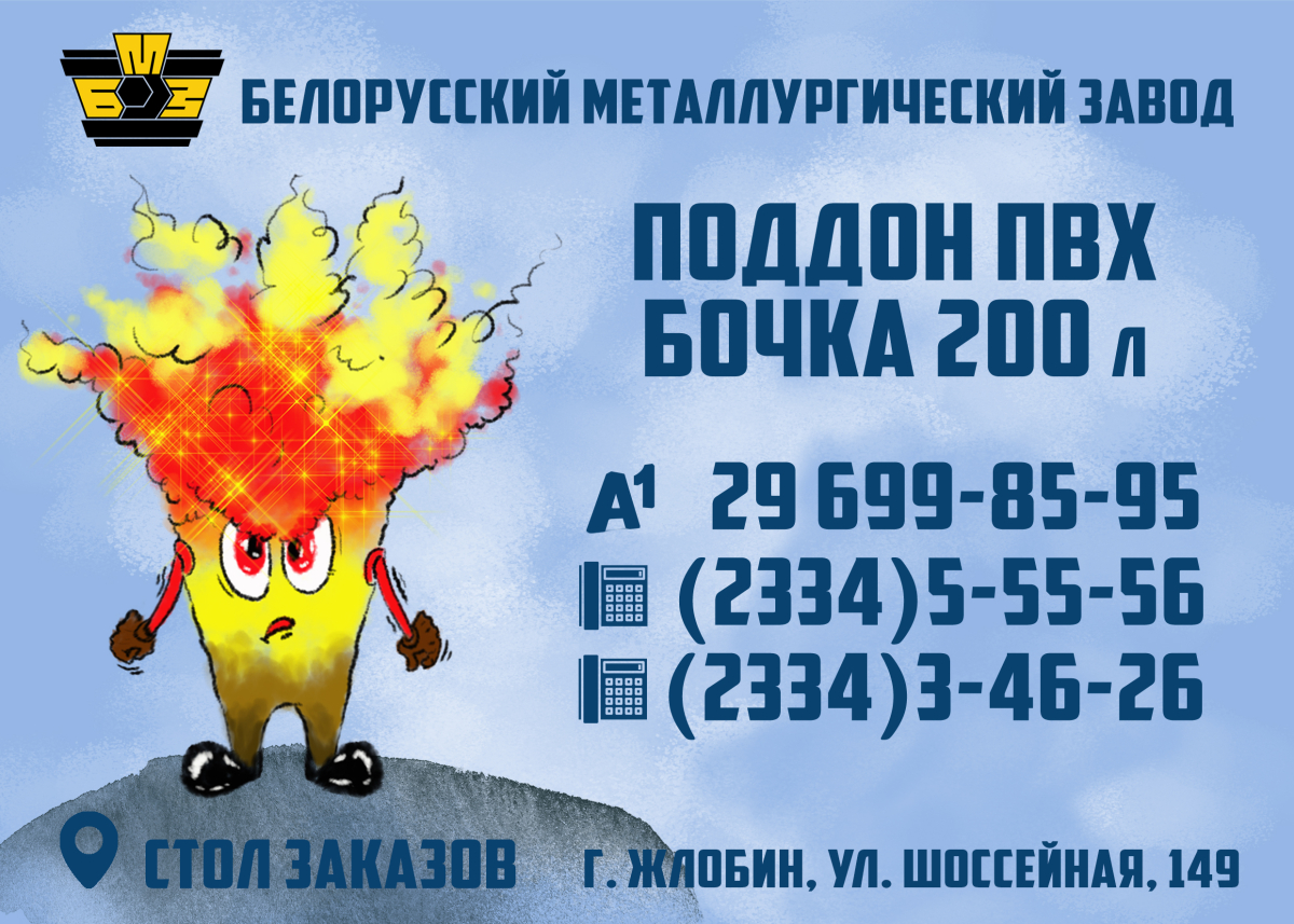 bmz.jpg