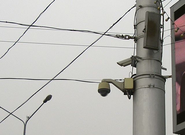 PB086083.jpg