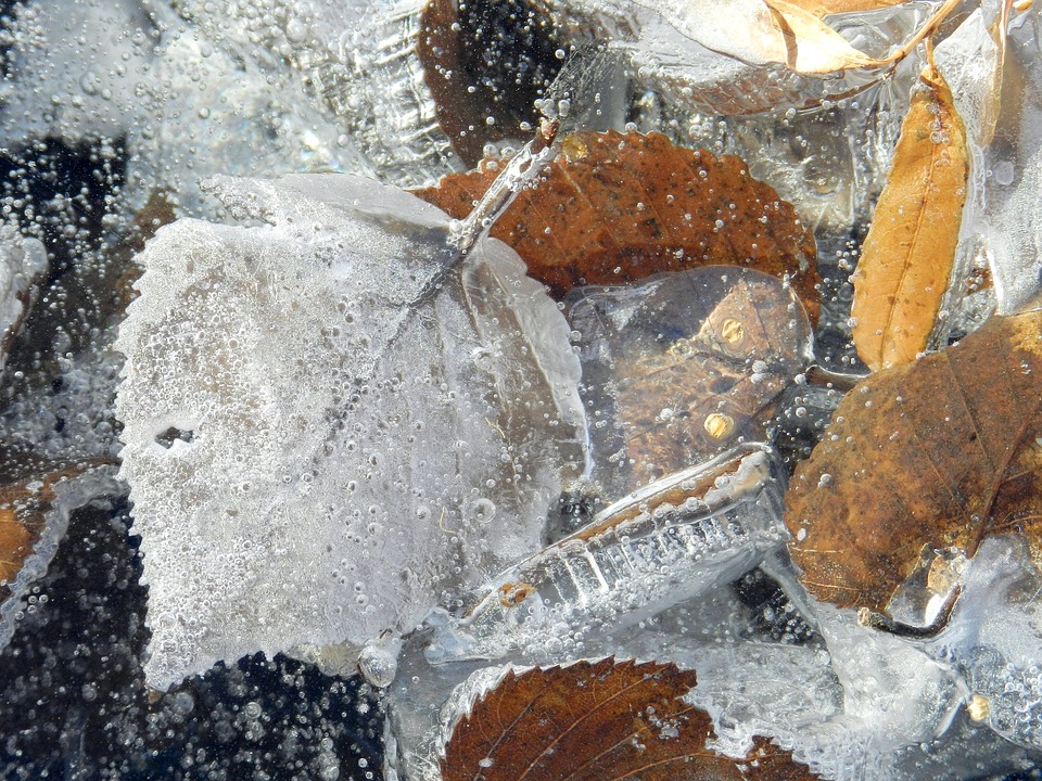 autumn-2734986_960_720.jpg
