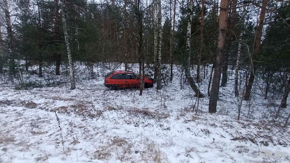 дтп-3.jpg дтп-3.jpg