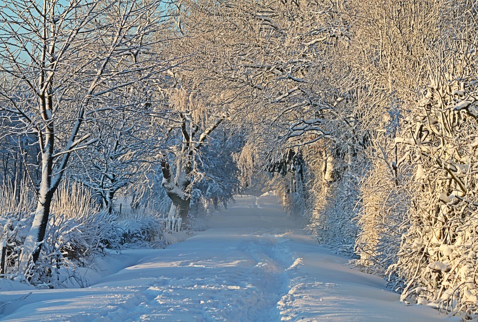 winter-1093798_960_720.jpg winter-1093798_960_720.jpg