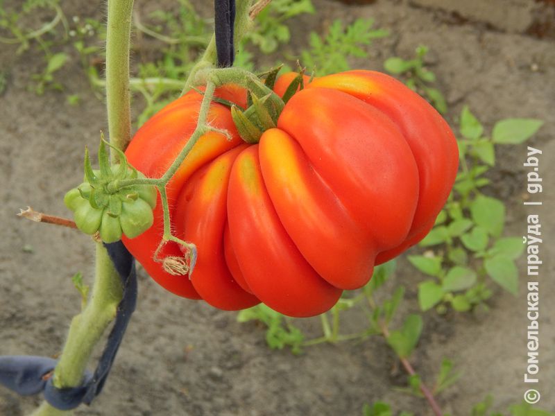 DSCN5653.JPG
